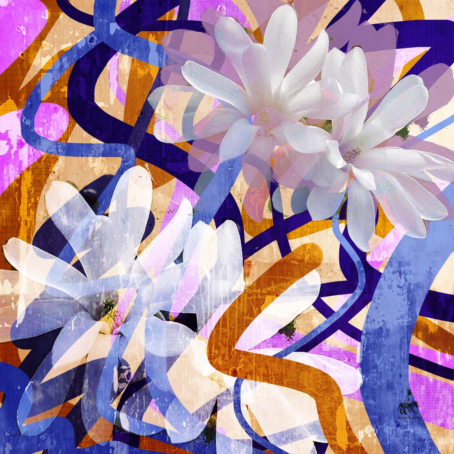 bright colourful blue pink magnolia flower wool scarf designed in melbourne australia
